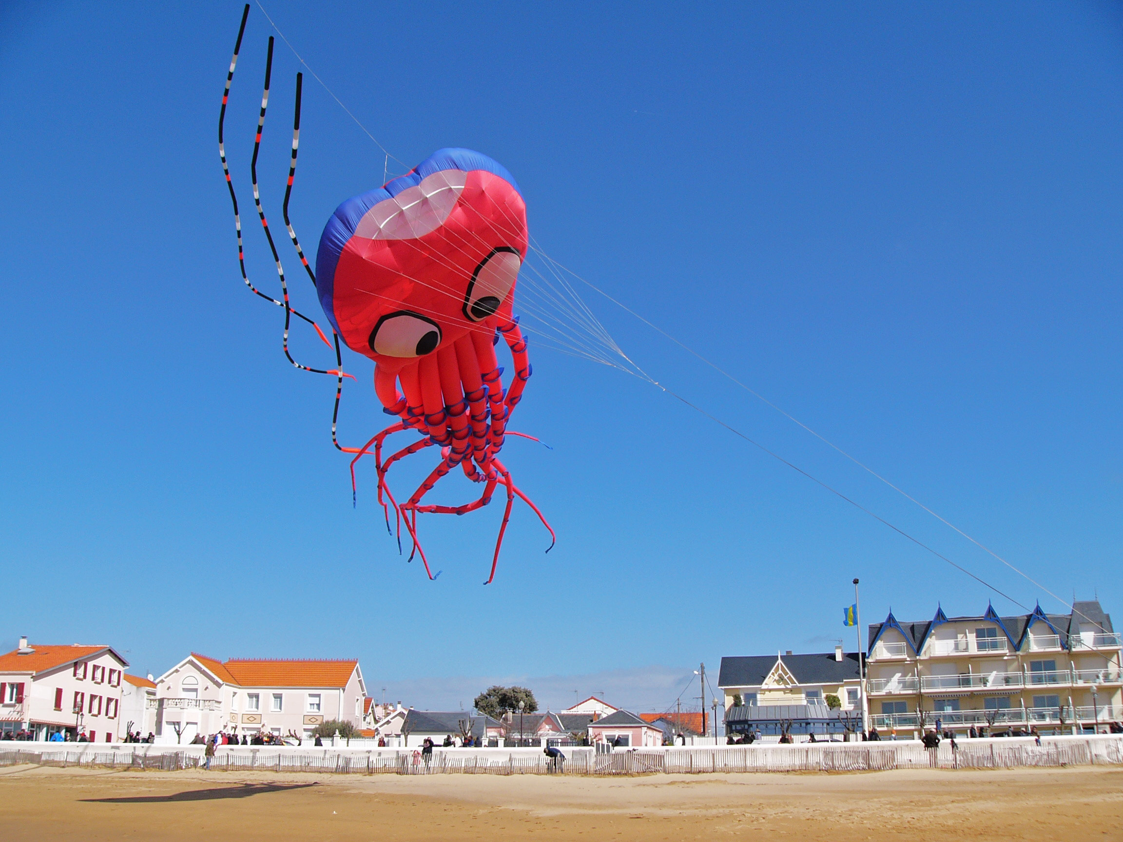 Festival des Cerfs-Volants