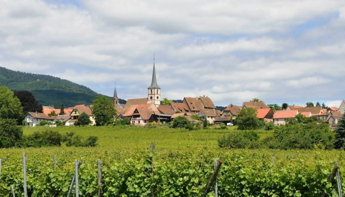 Mittelbergheim village alsace