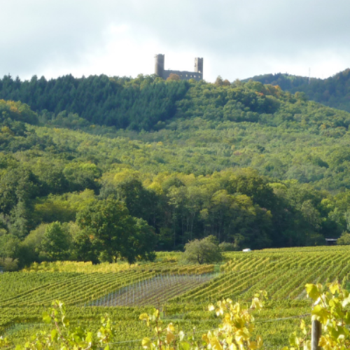 château de andlau