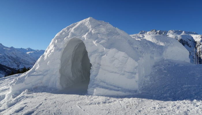 igloo neige