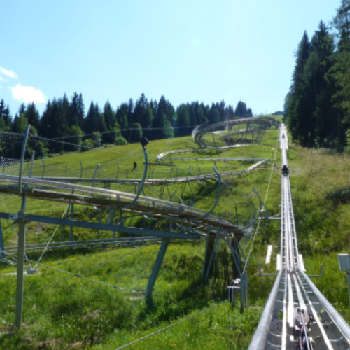 luge d'été