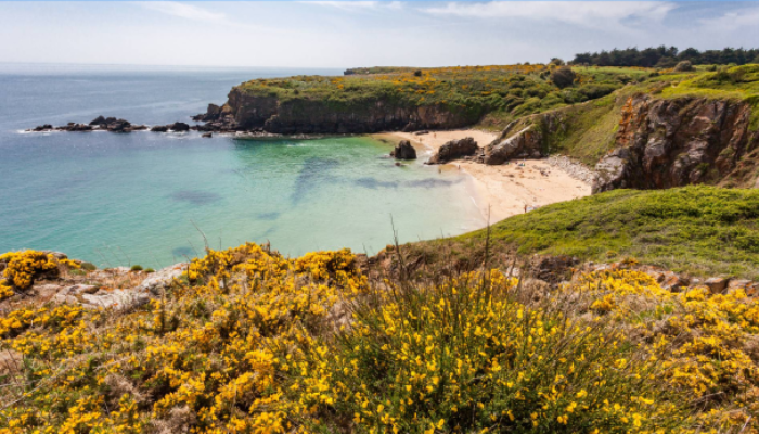 plage des soux ile d'yeu