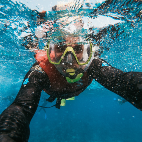 plongée sous marine