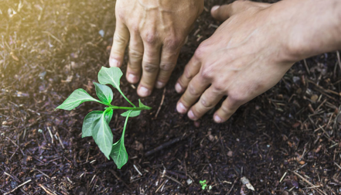 preserver l'environnement