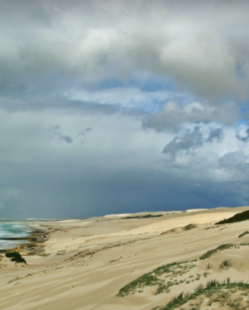 dunes océan