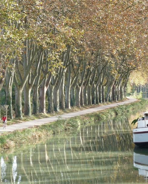 Canal du midi 