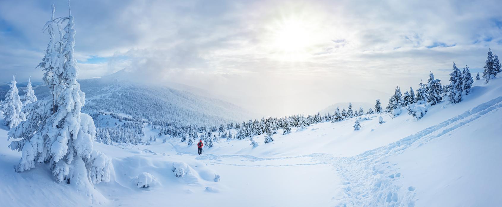 Paysage hiver