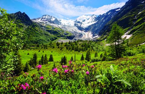 Col des saisies