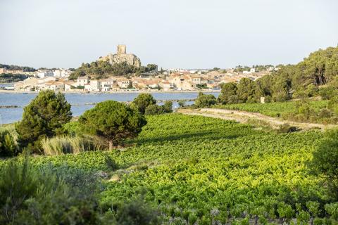 Séjours randonnée dans le Languedoc avec Vacances ULVF