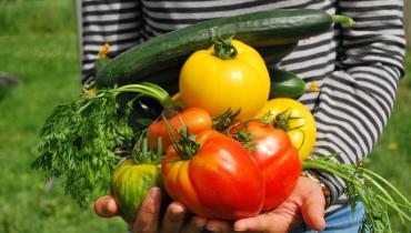 potager enfants