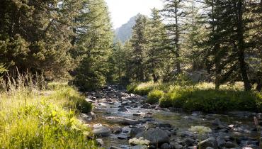 Parc National du Mercantour