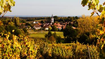 Vignobles Alsace