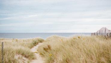 Dunes de la Slack