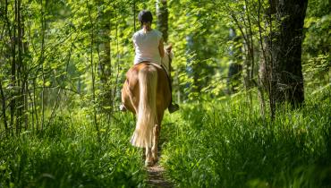 Promenade à cheval dans les Alpes